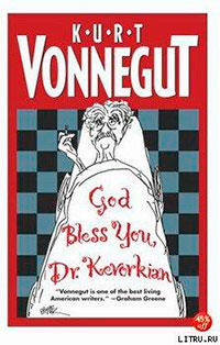 Дай вам Бог здоровья, доктор Кеворкян читать онлайн