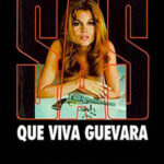 Вива Гевара! читать онлайн