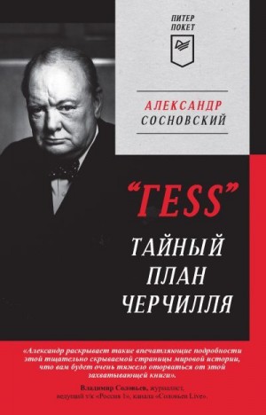 «ГESS». Тайный план Черчилля читать онлайн