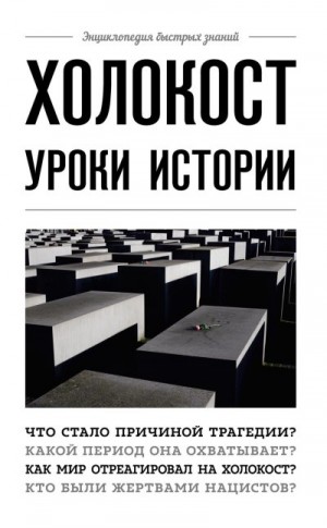 Холокост. Уроки истории читать онлайн