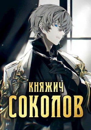 Княжич Соколов читать онлайн