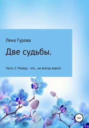 Две судьбы. Часть 2. Развод – это… не всегда верно! читать онлайн