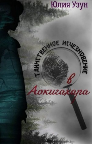 Таинственное исчезновение в Аокигахара читать онлайн