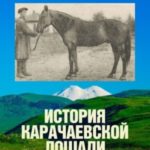 История карачаевской лошади