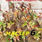 Мастер 6