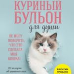 Куриный бульон для души. Не могу поверить, что это сделала моя кошка! 101 история об удивительных вы...