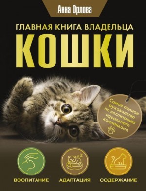 Главная книга владельца кошки читать онлайн