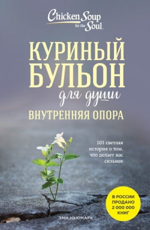 Куриный бульон для души. Внутренняя опора. 101 светлая история о том, что делает нас сильнее читать онлайн