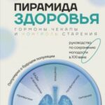 Пирамида здоровья: гормоны, чекапы и контроль старения