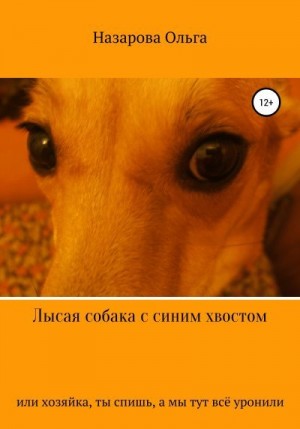 Лысая собака с синим хвостом, или, Хозяйка, ты спишь, а мы тут всё уронили! читать онлайн