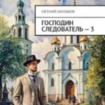 Господин следователь 3