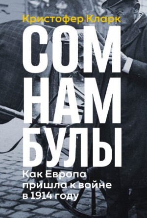 Сомнамбулы: Как Европа пришла к войне в 1914 году читать онлайн