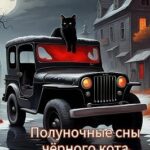 Полуночные сны чёрного кота