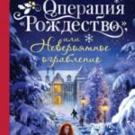 Операция «Рождество», или Невероятное ограбление